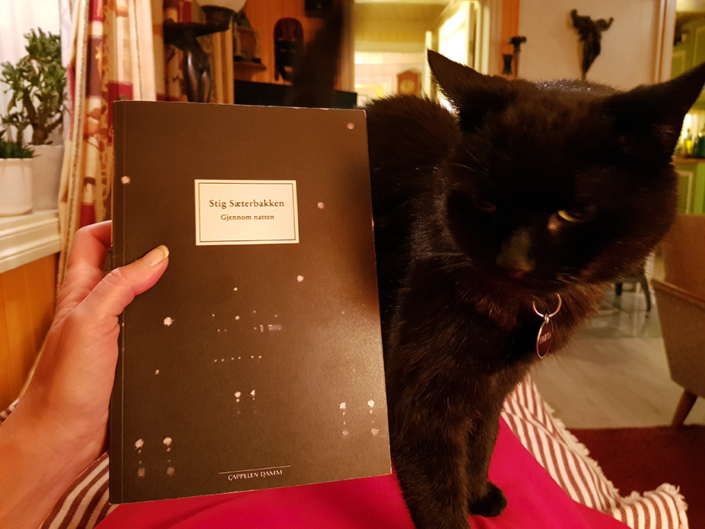 Leserin (auf der Couch liegend) mit norwegischer Ausgabe von »Durch die Nacht« und schwarzem Kätzchen, das sich das Buch anschaut